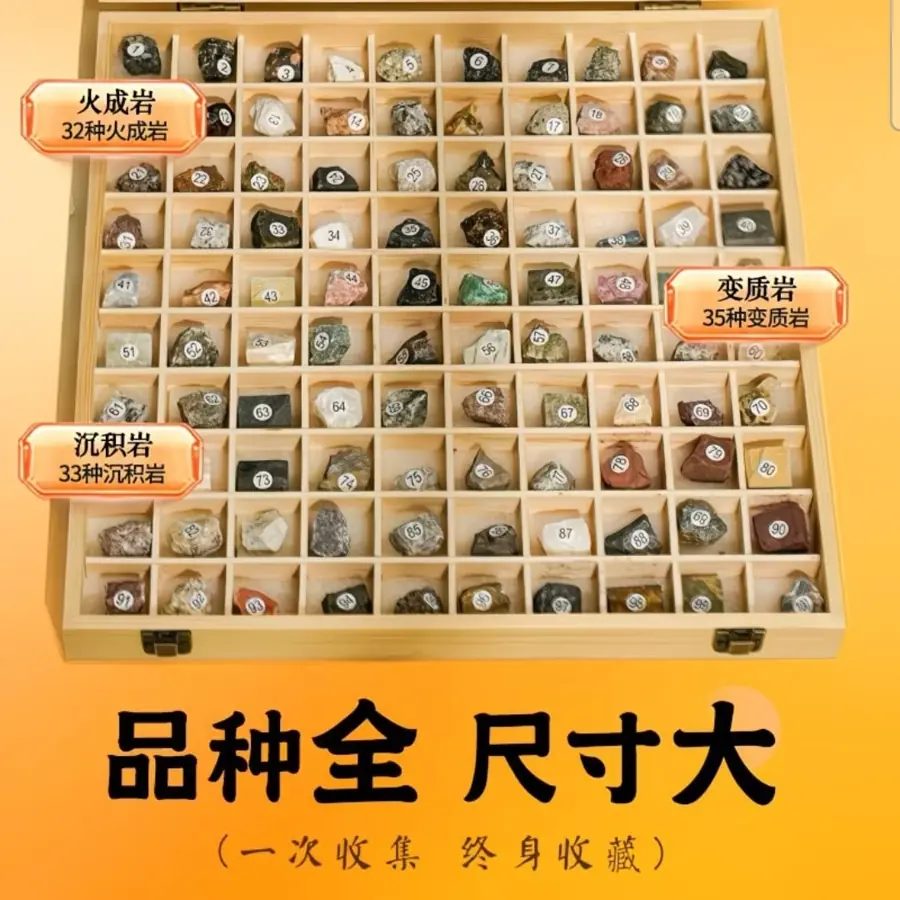 100 Types Natural Rock and Mineral Specimens Educational Collection Set