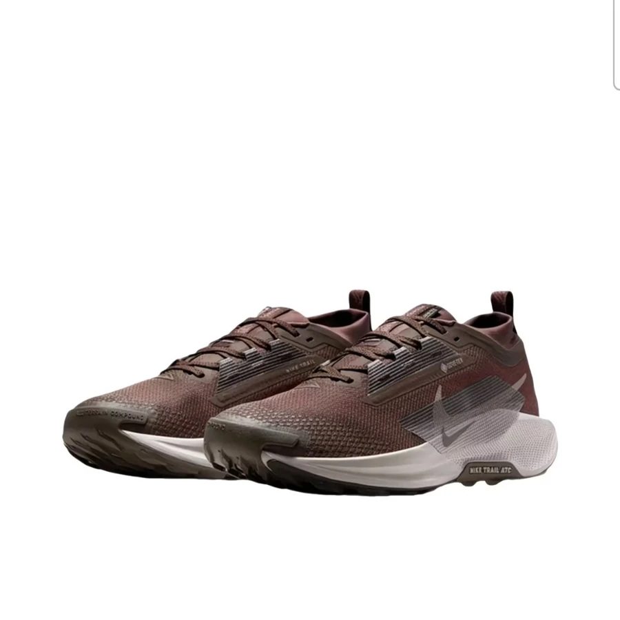 NIKE Pegasus Trail 5 Running Shoes Men Brown FQ0908-012