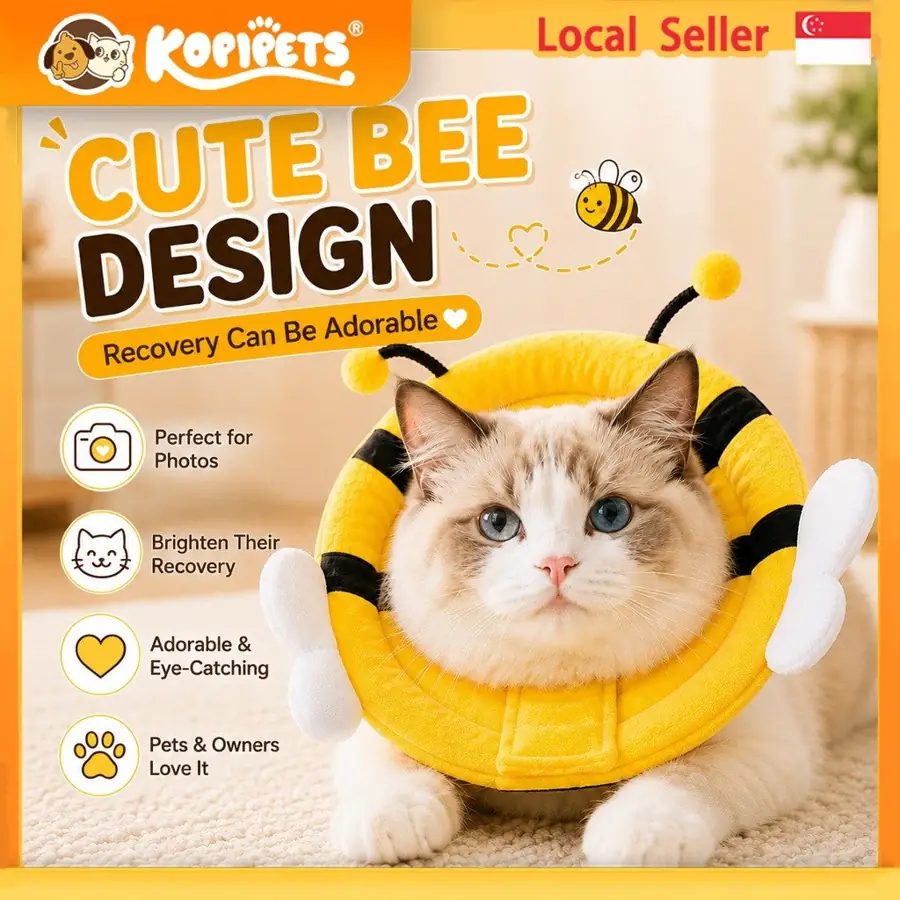 Kopipets Soft Recovery Cone Collar for Cats & Dogs