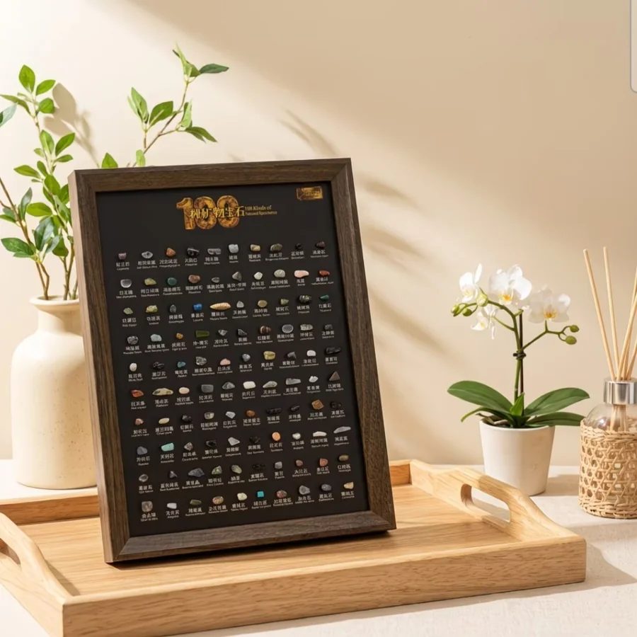 100-Type Natural Raw Mineral Stone Specimen Set for Science Education
